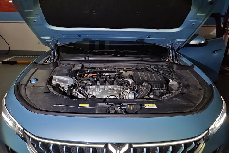 Used VOYAH FREE 2021 Four-Wheel Drive Extended-Range First Edition Commemorative Edition Exclusive Luxury Package Engine Bay