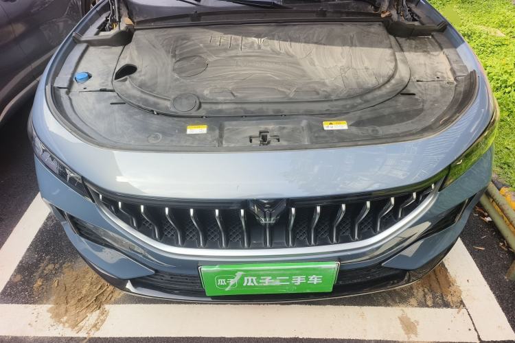 Used VOYAH FREE 2021 Four-Wheel Drive Standard Range-Extended Exclusive Luxury Package Engine Bay