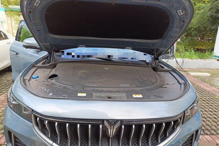 Used VOYAH FREE 2021 Four-Wheel Drive Standard Range-Extended Exclusive Luxury Package Engine Bay