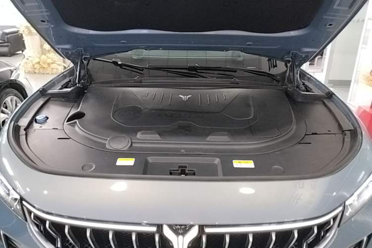 Used VOYAH FREE 2021 Four-Wheel Drive Standard Range-Extended Exclusive Luxury Package Engine Bay