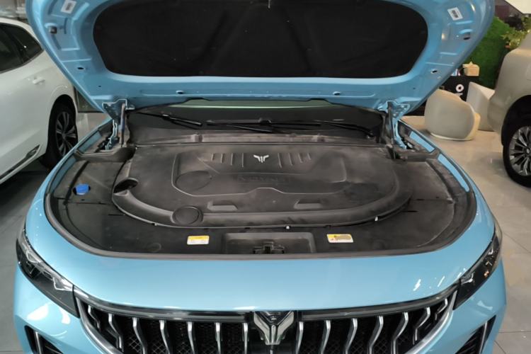 Used VOYAH FREE 2021 Four-Wheel Drive Standard Range-Extended Exclusive Luxury Package Engine Bay