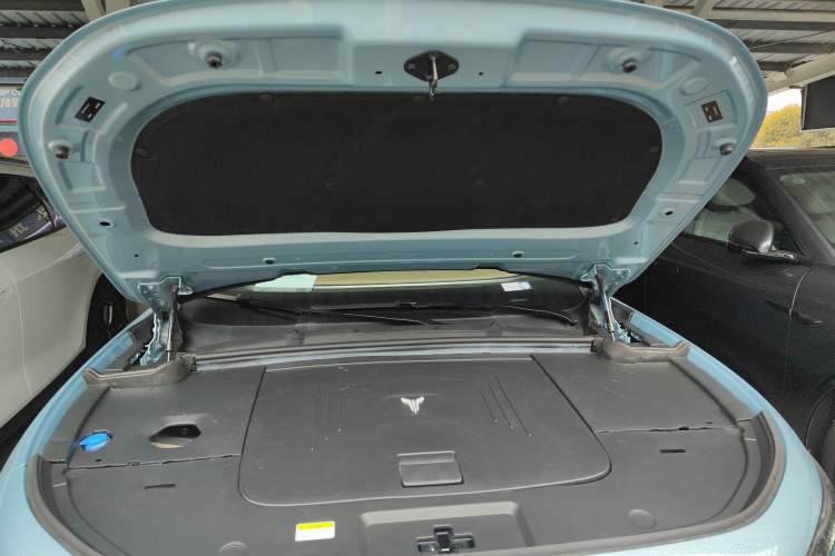 Used VOYAH FREE 2021 Four-Wheel Drive Standard All-Electric Exclusive Luxury Package Engine Bay
