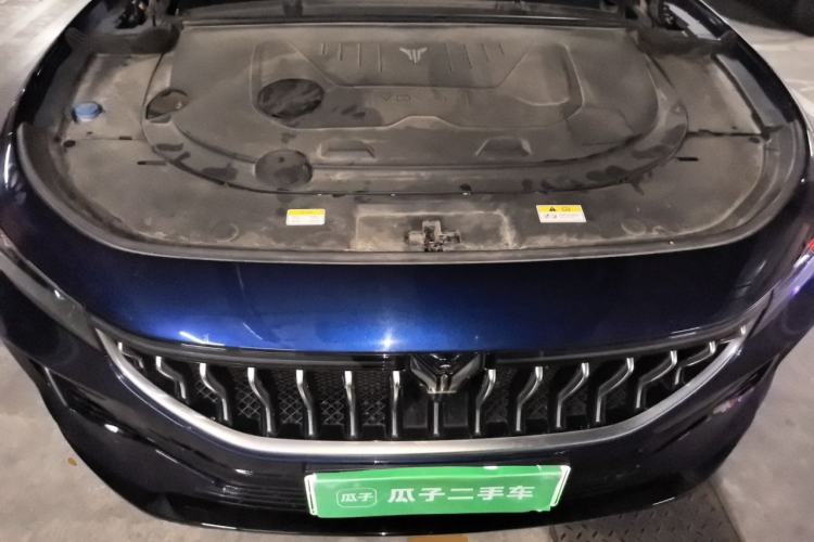Used VOYAH FREE 2021 Four-Wheel Drive Standard Range-Extended Exclusive Luxury Package Engine Bay