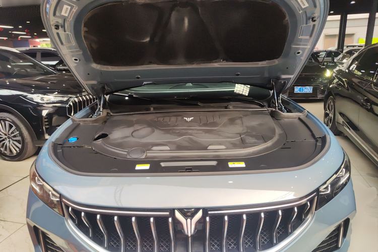 Used VOYAH FREE 2021 Four-Wheel Drive Standard Range-Extended Exclusive Luxury Package Engine Bay