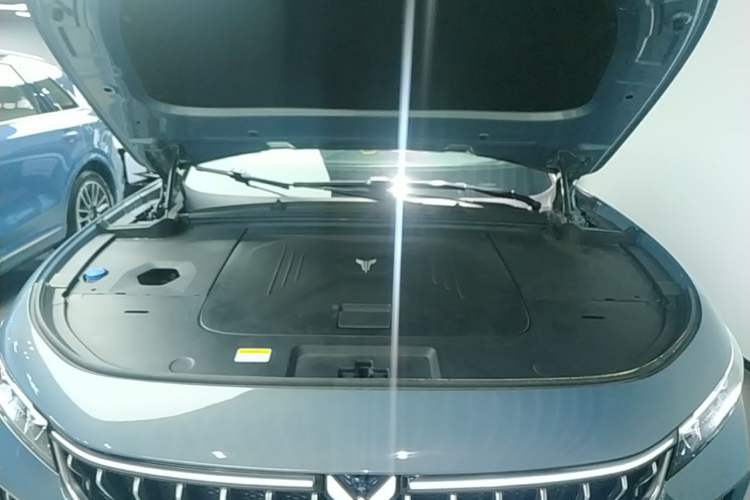 Used VOYAH FREE 2021 Four-Wheel Drive Standard All-Electric Exclusive Luxury Package Engine Bay