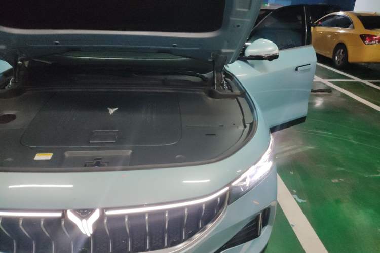 Used VOYAH FREE 2021 Two-Wheel Drive Standard Pure Electric City Edition Engine Bay Left