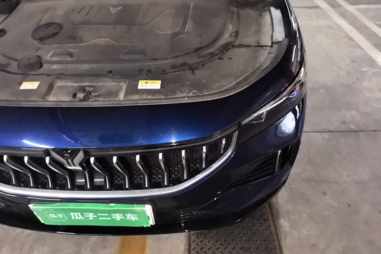 Used VOYAH FREE 2021 Four-Wheel Drive Standard Range-Extended Exclusive Luxury Package Engine Bay Left