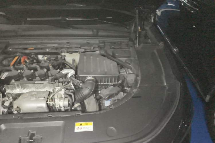 Used VOYAH FREE 2021 Four-Wheel Drive Standard Range-Extended Exclusive Luxury Package Engine Bay Left