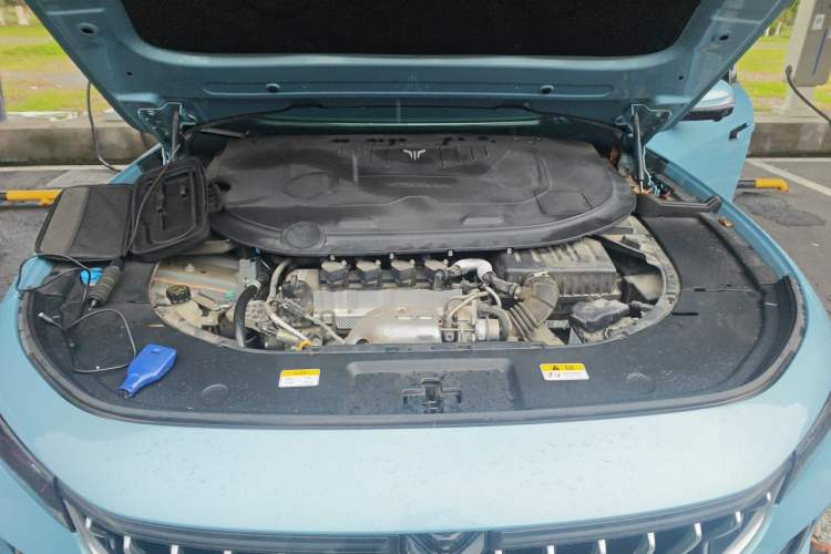 Used VOYAH FREE 2021 Four-Wheel Drive Extended-Range First Edition Commemorative Edition Exclusive Luxury Package Engine Bay