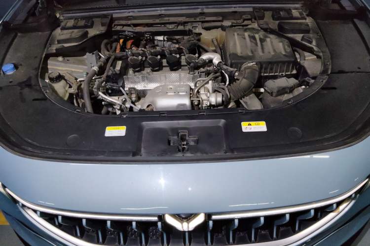 Used VOYAH FREE 2021 Four-Wheel Drive Standard Range-Extended Exclusive Luxury Package Engine Bay