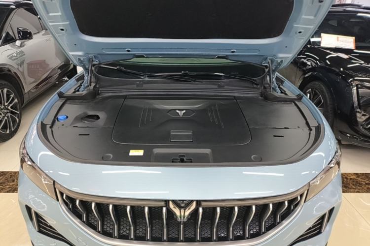 Used VOYAH FREE 2021 Two-Wheel Drive Standard Pure Electric City Edition Engine Bay