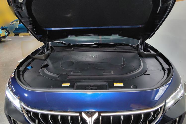 Used VOYAH FREE 2021 Four-Wheel Drive Standard Range-Extended Exclusive Luxury Package Engine Bay