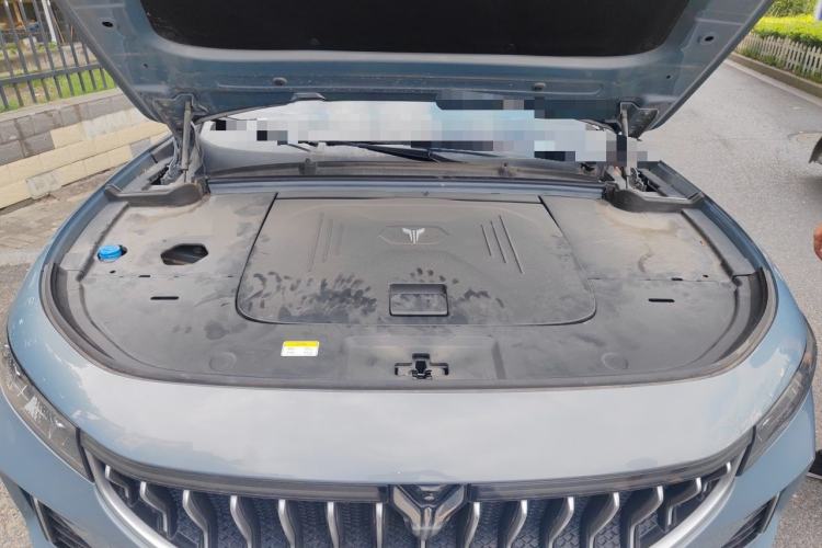 Used VOYAH FREE 2021 Four-Wheel Drive Standard All-Electric Exclusive Luxury Package Engine Bay