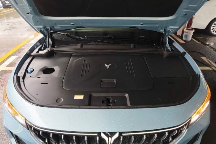 Used VOYAH FREE 2021 Four-Wheel Drive All-Electric First Edition Commemorative Edition Exclusive Luxury Package Engine Bay