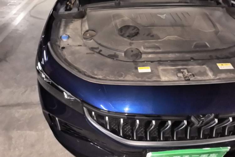 Used VOYAH FREE 2021 Four-Wheel Drive Standard Range-Extended Exclusive Luxury Package Engine Bay Right