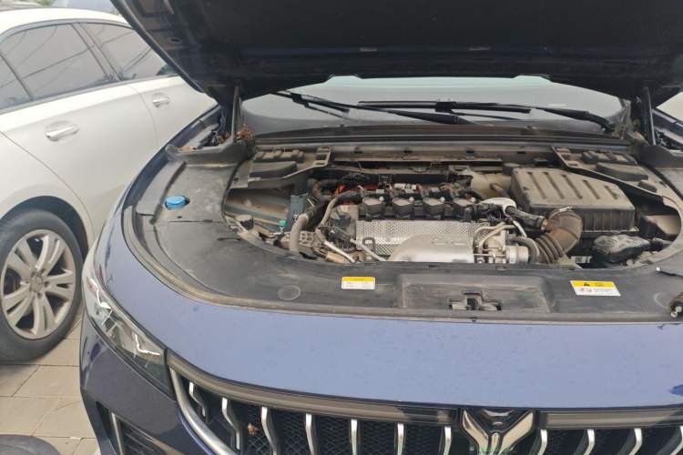 Used VOYAH FREE 2021 Four-Wheel Drive Standard Range-Extended Exclusive Luxury Package Engine Bay Right