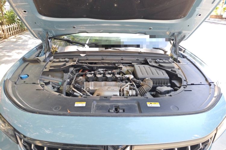 Used VOYAH FREE 2021 Four-Wheel Drive Standard Range-Extended Exclusive Luxury Package Engine Bay