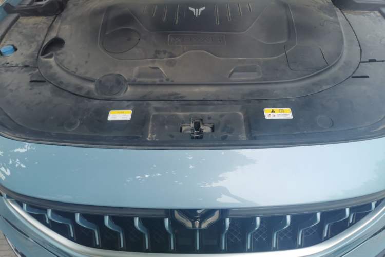 Used VOYAH FREE 2021 Four-Wheel Drive Standard Range-Extended Exclusive Luxury Package Engine Bay