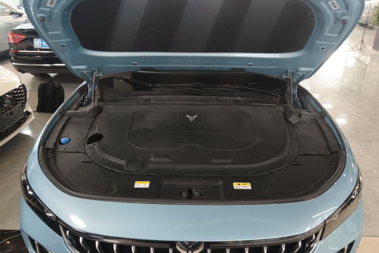 Used VOYAH FREE 2021 Four-Wheel Drive Standard Range-Extended Exclusive Luxury Package Engine Bay