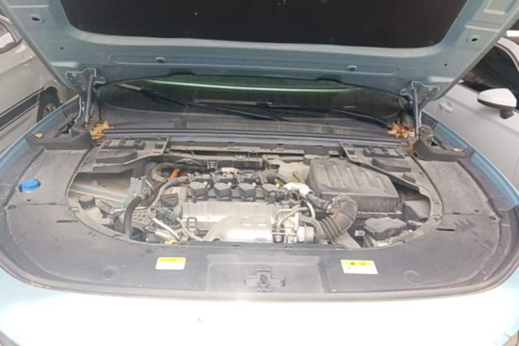 Used VOYAH FREE 2021 Four-Wheel Drive Standard Range-Extended Exclusive Luxury Package Engine Bay