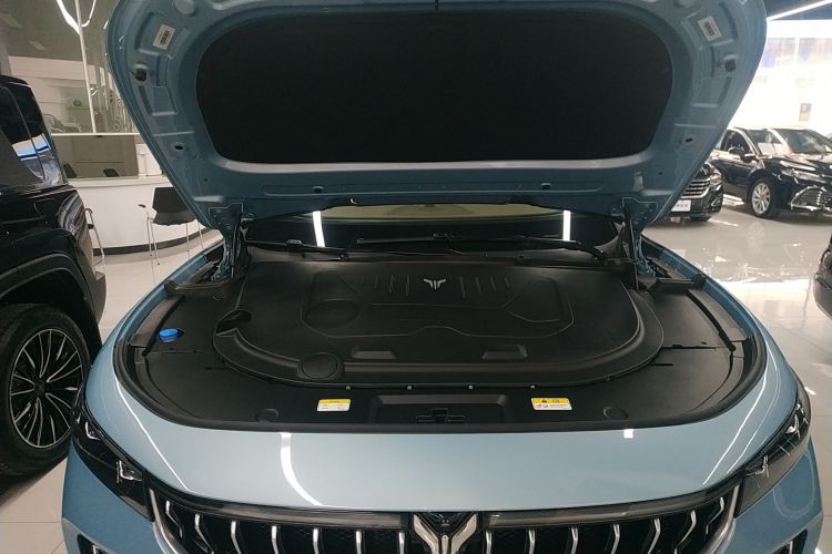 Used VOYAH FREE 2021 Four-Wheel Drive Standard Range-Extended Exclusive Luxury Package Engine Bay