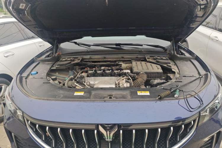 Used VOYAH FREE 2021 Four-Wheel Drive Standard Range-Extended Exclusive Luxury Package Engine Bay