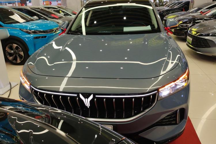 Used VOYAH FREE 2021 Four-Wheel Drive All-Electric First Edition Commemorative Edition Exclusive Luxury Package Exterior 1