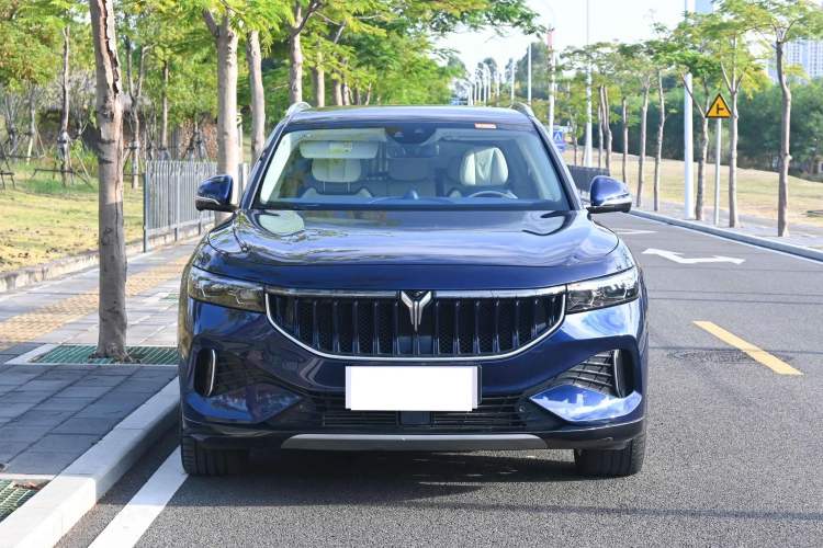 Used VOYAH FREE 2021 Four-Wheel Drive Standard Range-Extended Exclusive Luxury Package Exterior 1