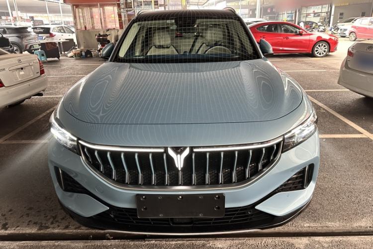 Used VOYAH FREE 2021 Four-Wheel Drive Standard All-Electric Exclusive Luxury Package Exterior 1