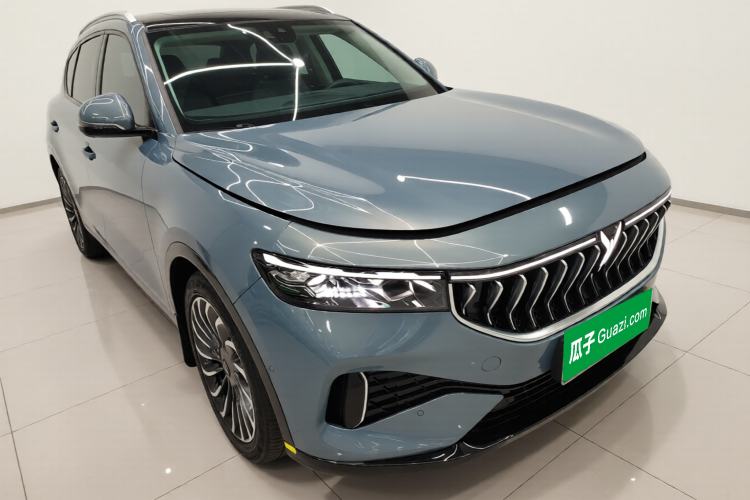 Used VOYAH FREE 2021 Four-Wheel Drive Standard Range-Extended Exclusive Luxury Package Exterior 1