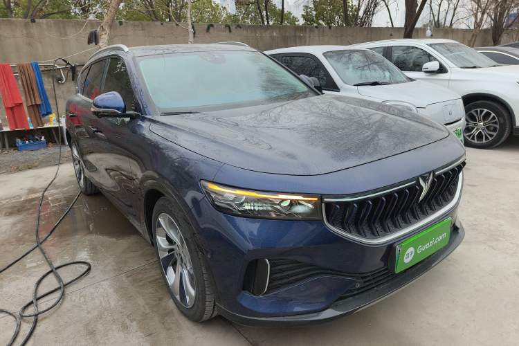 Used VOYAH FREE 2021 Four-Wheel Drive Standard All-Electric Exclusive Luxury Package Exterior 1