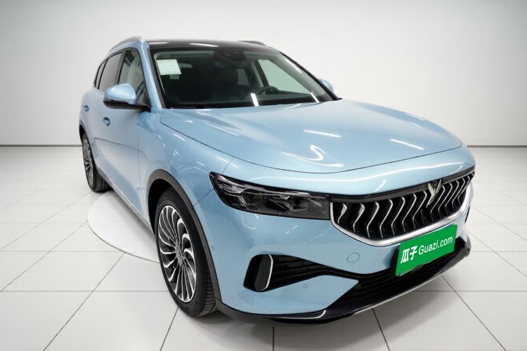 Used VOYAH FREE 2021 Two-Wheel Drive Standard Pure Electric City Edition Exterior 1