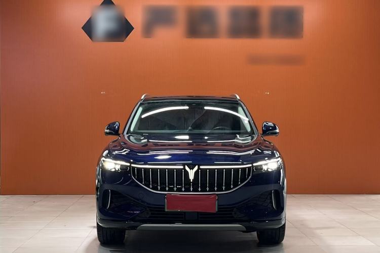 Used VOYAH FREE 2021 Four-Wheel Drive Standard All-Electric Exclusive Luxury Package Exterior 1