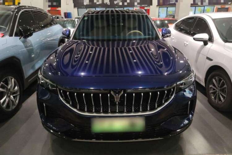 Used VOYAH FREE 2021 Four-Wheel Drive Standard Range-Extended Exclusive Luxury Package Exterior 1