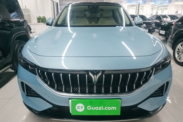Used VOYAH FREE 2021 Four-Wheel Drive Standard Range-Extended Exclusive Luxury Package Exterior 1