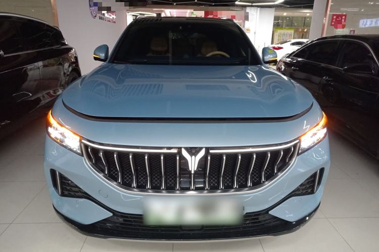 Used VOYAH FREE 2021 Four-Wheel Drive Standard Range-Extended Exclusive Luxury Package Exterior 1