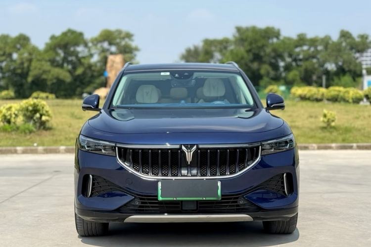 Used VOYAH FREE 2021 Four-Wheel Drive Standard Range-Extended Exclusive Luxury Package Exterior 3