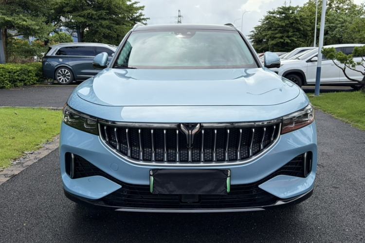 Used VOYAH FREE 2021 Four-Wheel Drive Standard All-Electric Exclusive Luxury Package Exterior 5
