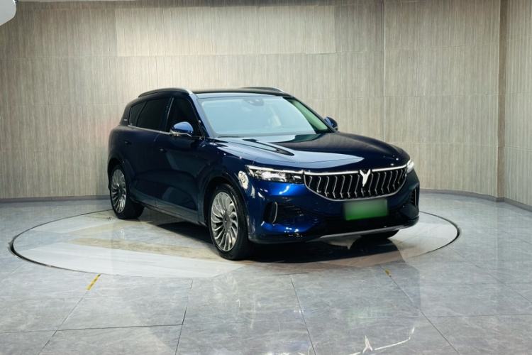 Used VOYAH FREE 2021 Four-Wheel Drive Standard Range-Extended Exclusive Luxury Package Exterior 6