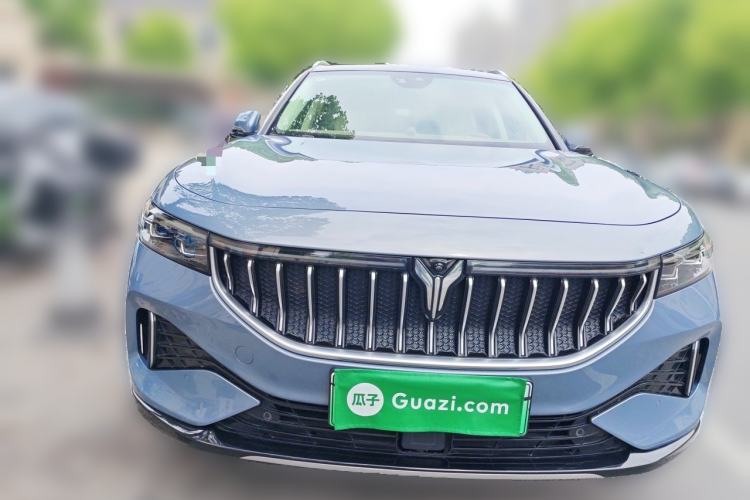 Used VOYAH FREE 2021 Four-Wheel Drive Standard All-Electric Exclusive Luxury Package Front