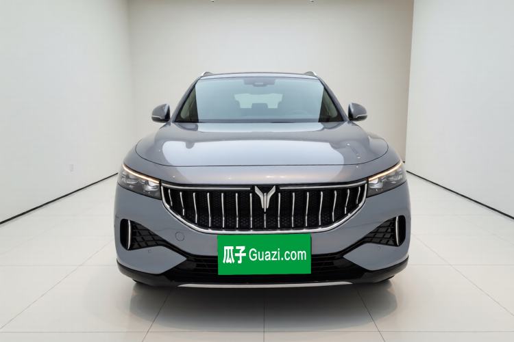 Used VOYAH FREE 2021 Four-Wheel Drive Standard All-Electric Exclusive Luxury Package Front
