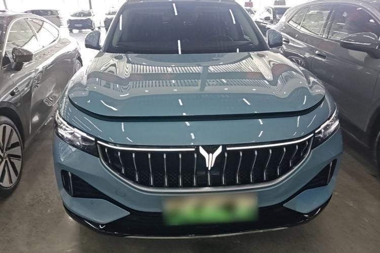 Used VOYAH FREE 2021 Four-Wheel Drive Standard Range-Extended Exclusive Luxury Package Front