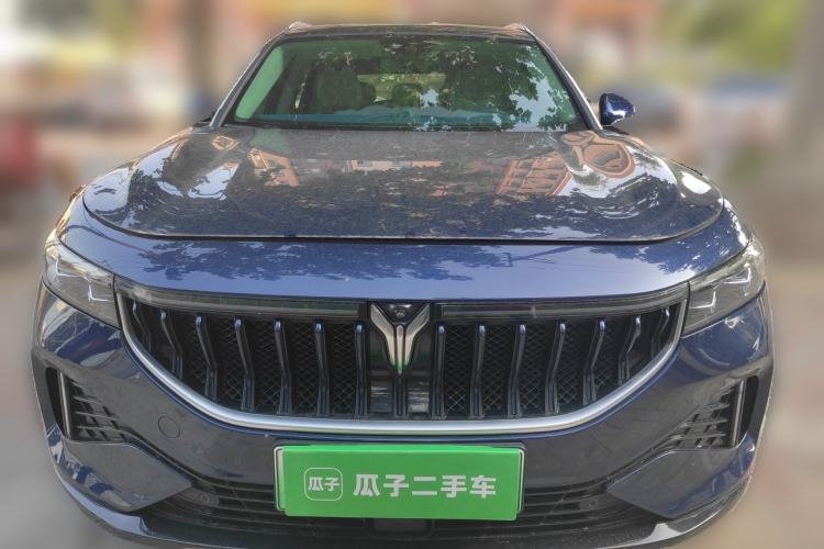 Used VOYAH FREE 2021 Four-Wheel Drive Extended-Range First Edition Commemorative Edition Exclusive Luxury Package Front