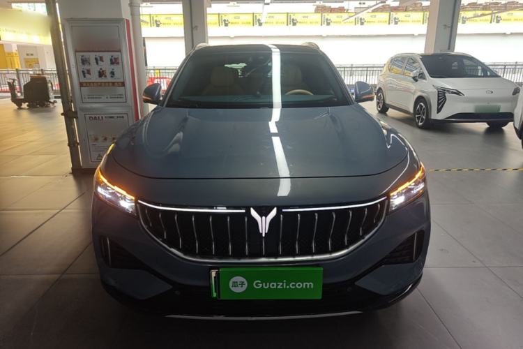Used VOYAH FREE 2021 Four-Wheel Drive Standard Range-Extended Exclusive Luxury Package Front