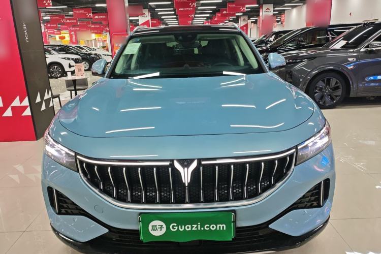 Used VOYAH FREE 2021 Two-Wheel Drive Standard Pure Electric City Edition Front