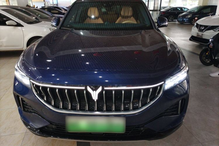 Used VOYAH FREE 2021 Two-Wheel Drive Standard Pure Electric City Edition Front