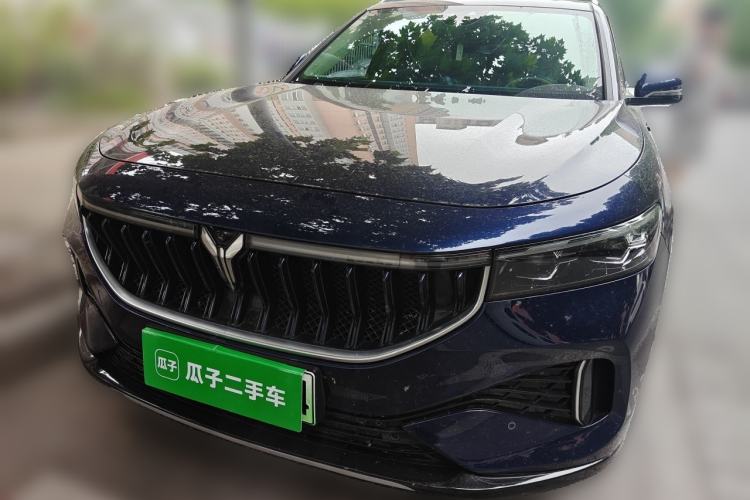 Used VOYAH FREE 2021 Four-Wheel Drive Extended-Range First Edition Commemorative Edition Exclusive Luxury Package Front