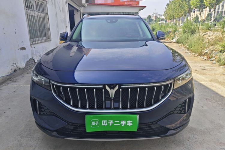 Used VOYAH FREE 2021 Four-Wheel Drive Standard Range-Extended Exclusive Luxury Package Front