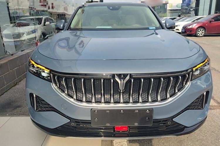 Used VOYAH FREE 2021 Four-Wheel Drive All-Electric First Edition Commemorative Edition Exclusive Luxury Package Front