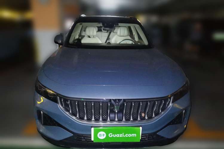 Used VOYAH FREE 2021 Four-Wheel Drive Standard Range-Extended Exclusive Luxury Package Front